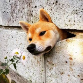 ⦁֊⦁ᐝ
