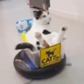 升