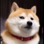 大日御舆