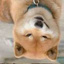 缪健铭