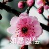 会讲白话吗