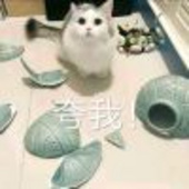 可可喵