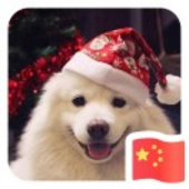 重返150