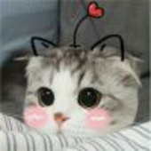 卡西莫多
