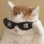 化聖疯紳