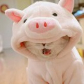 清歌晓