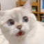 立菡之