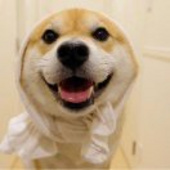 成为一个胖子