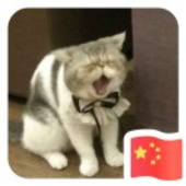 Master大師