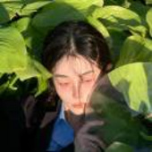 AAA专业火上浇油L
