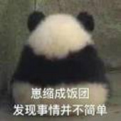 panda桑