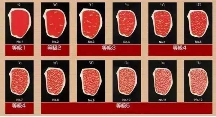 牛排怎么选 什么样的牛排口感更好 很赞 牛排怎么选 什么样的牛排口感更好 很赞