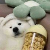 QvQ
