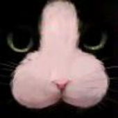 禺心