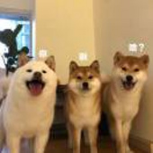 王驰