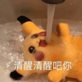 bbduck