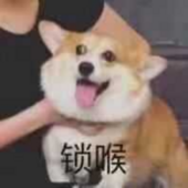 YGTp0cky