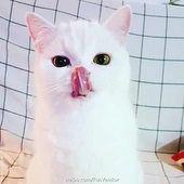 iuiuiuiuli7