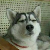 WY
