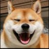 浮生若梦