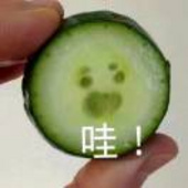 华明一斤一百块