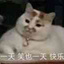 汐元