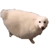 哈哈鱼