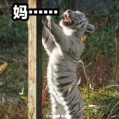 过程