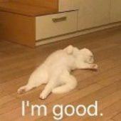 李