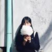 风继续吹