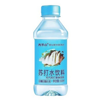 两界山 无糖无汽弱碱饮用矿泉水 瓶装