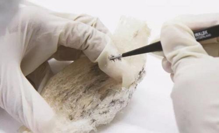 网红主播辛巴带货 燕窝 翻车 到底如何才能买到好燕窝 很赞