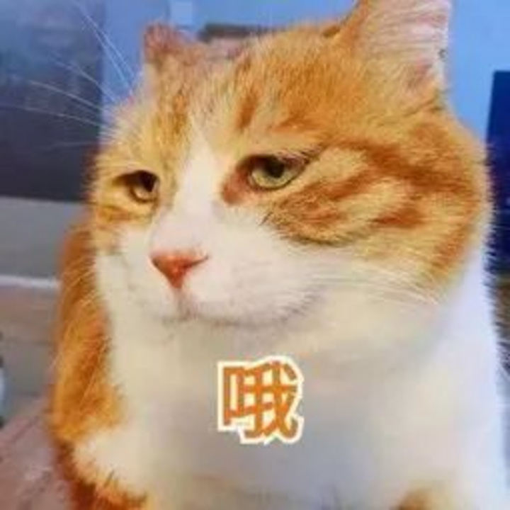 独家检测 细菌超标十多倍 这款大牌猫粮你要慎重 很赞
