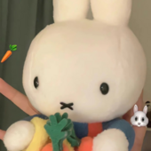洪洪有钱花
