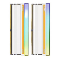 光威： 神策 DDR5 白色