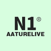 N1