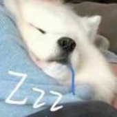 熊偏爱布朗尼