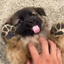 迷墙