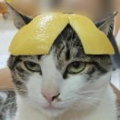 慢煮生活