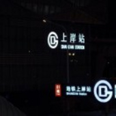 一坨猫
