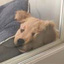ㅤ