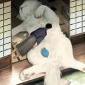 森森王森森