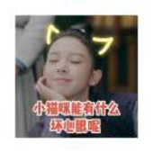 朱其健