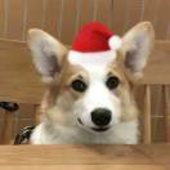 小他
