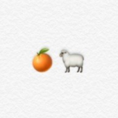 橙子羊
