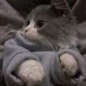 Elliot