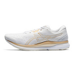 Asics EvoRide