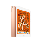 iPad mini5