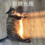 肥宅肥肚肚