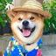 FoxDemon小眼镜